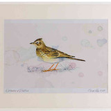 A2 skylark