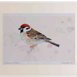 A2 tree sparrow