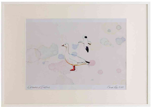 A2 snow goose.jpg