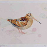 A4 woodcock