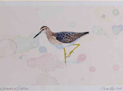 A4 wood sandpiper.jpg
