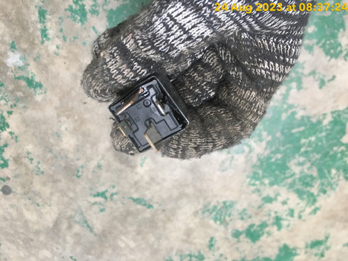 2F6E4CC8 D6A4 4600 8CFA 0F59AE1C21E9.jpg