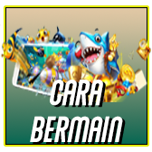 CARA BERMAIN.png