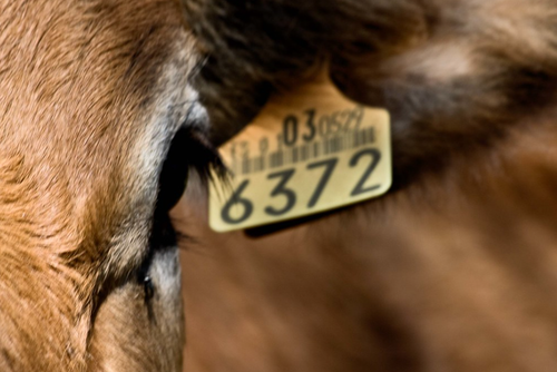 9cg0sB9Rrc.png