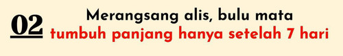 WhatsApp Image 2023 08 23 at 12.46.07.jpg