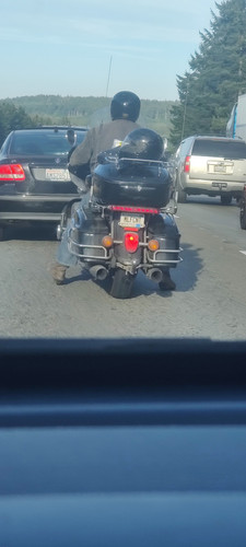1692827769451.jpg