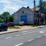 W619