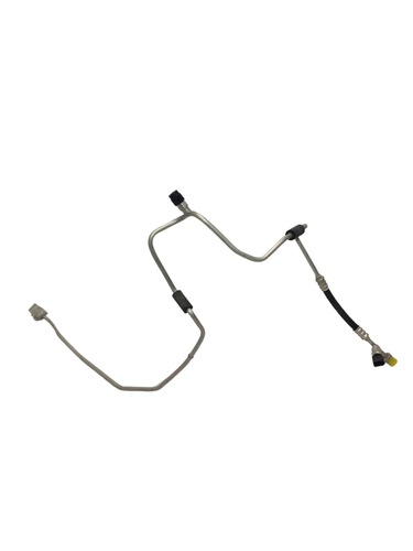 PhotoRoom 20230818 174052.png