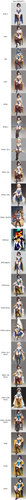 xyz grid 0012 849442815 (white 1.3), (simple 1.3),full body, (blue and gold color cheongsam+lace leo.png