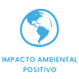 Icon 4