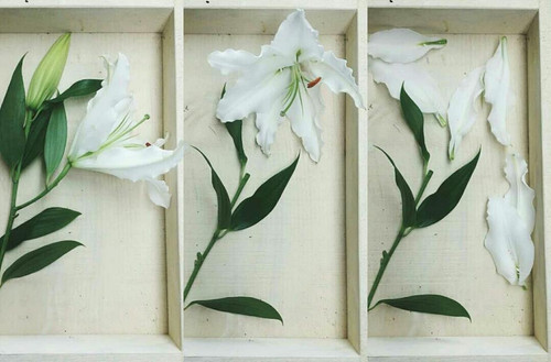Tumblr l 9711372444731.jpg