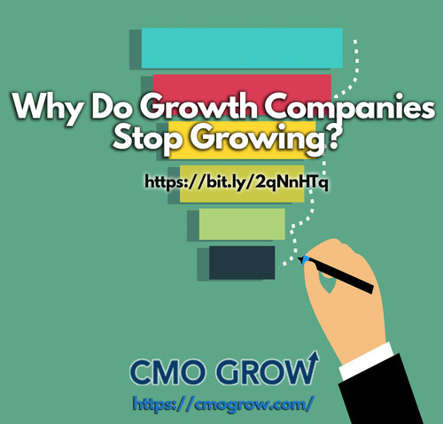 Why Do Growth Companies Stop Growing.jpg