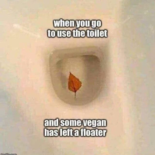 vegan.jpg