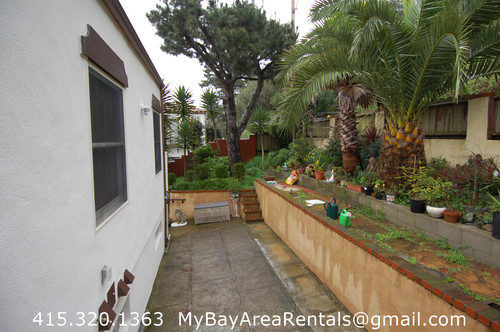 070DSC 2436.jpg