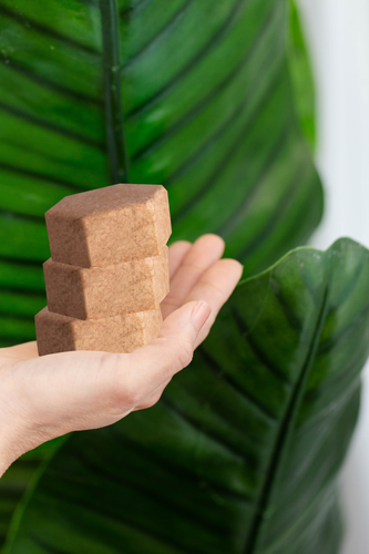 PINK SHIKAKAI SHAMPOO BAR.png