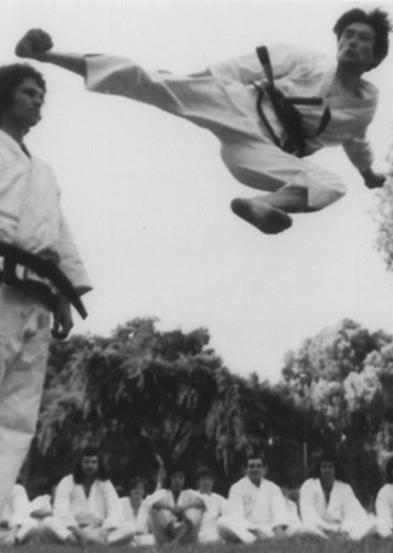 Taekwondo Arncliffe.jpg