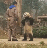 d4920b0a9422258e0f7cff327723d6c1.gif