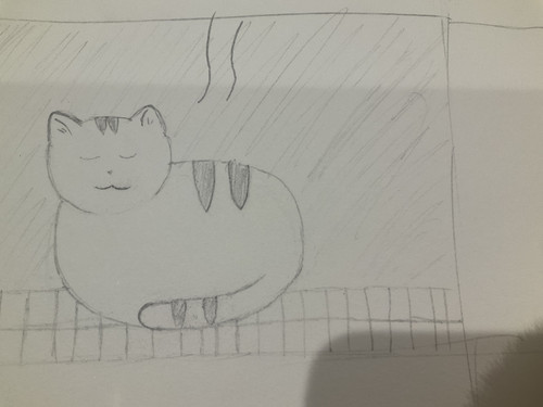 image.jpg