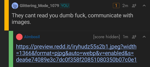 1685352253385.jpg