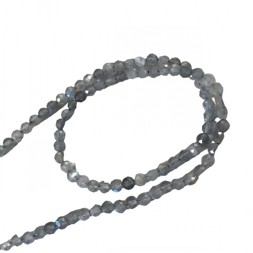 fj.1 PhotoRoom.png PhotoRoom.jpg