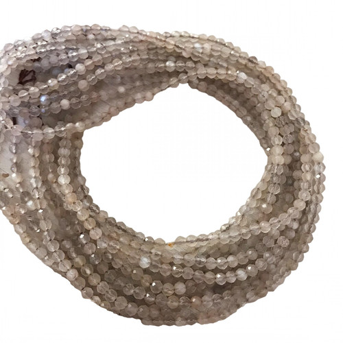 fl.1 PhotoRoom.png PhotoRoom.jpg