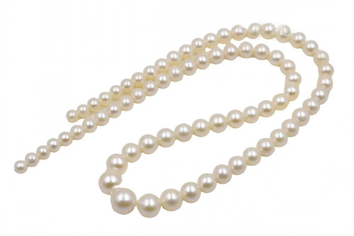 cd.1 36 11zon PhotoRoom.png PhotoRoom.jpg