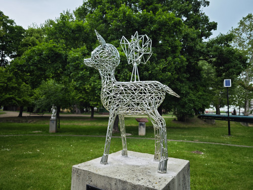 IMG 20230529 121130.jpg