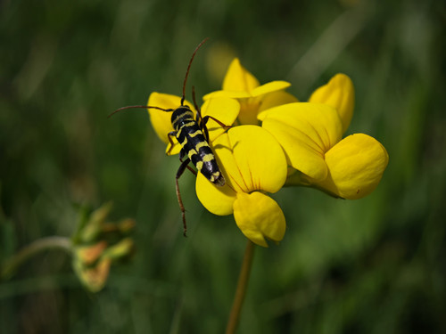 IMG 20230529 105347.jpg