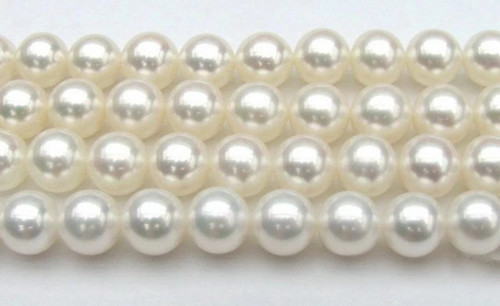 cp.2 61 11zon.jpg