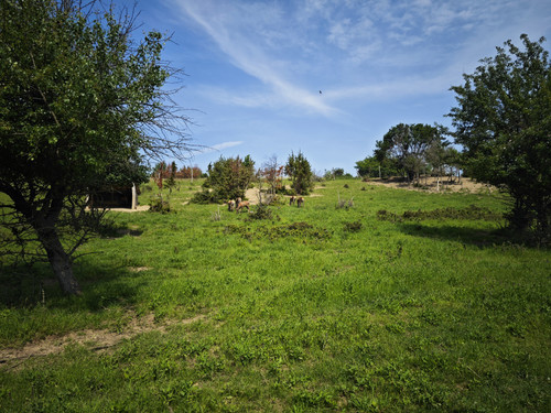 IMG 20230529 104008.jpg