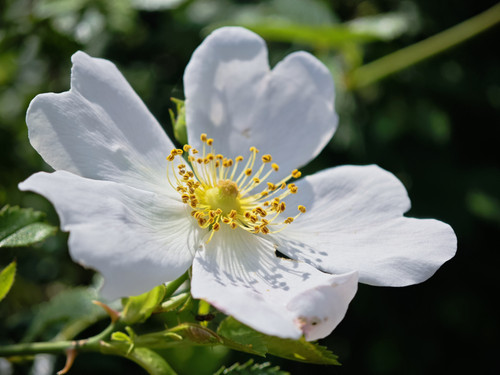 IMG 20230529 104739.jpg