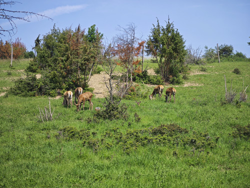 IMG 20230529 104013.jpg