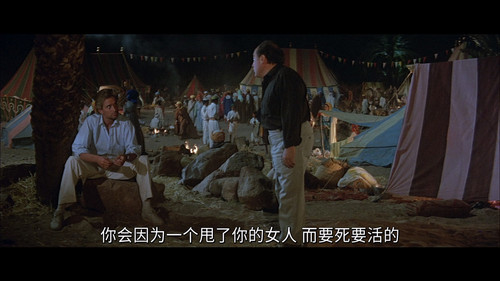 尼罗河宝石.The.Jewel.of.the.Nile.1985.1080p.Blu ray.AVC.DTS HD.HR.5.1 FFansDIY@XHX 20230529 000326.313.jpg