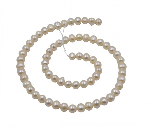 au.1 PhotoRoom.png PhotoRoom.jpg