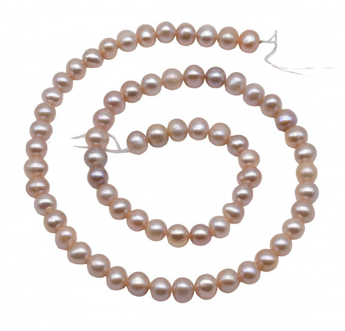 al.1 PhotoRoom.png PhotoRoom.jpg