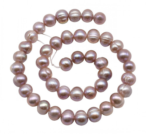 am.1 PhotoRoom.png PhotoRoom.jpg