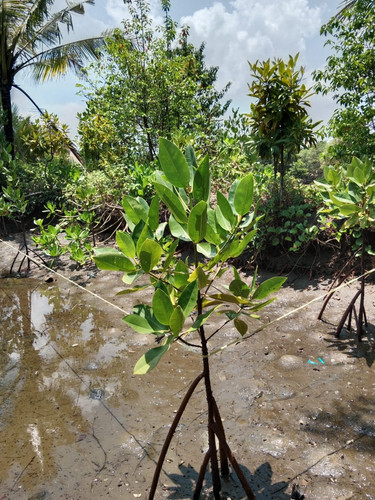 WhatsApp Image 2023 05 25 at 20.50.17.jpg