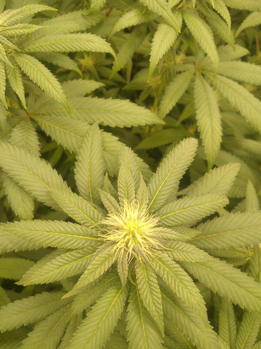 IMG 20230525 183705.jpg