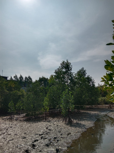 WhatsApp Image 2023 05 25 at 22.05.41.jpg