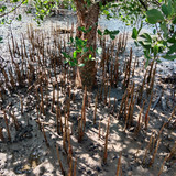 WhatsApp Image 2023 05 25 at 22.05.41 (1)