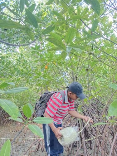 WhatsApp Image 2023 05 25 at 22.13.41.jpg