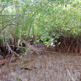 WhatsApp Image 2023 05 25 at 22.13.40