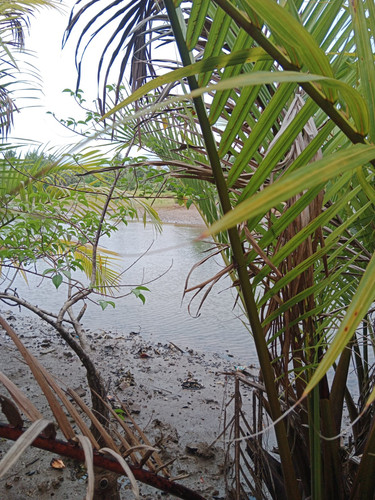 WhatsApp Image 2023 05 25 at 22.12.52.jpg