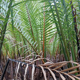 WhatsApp Image 2023 05 25 at 22.10.32