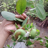 WhatsApp Image 2023 05 25 at 22.20.39 (1)