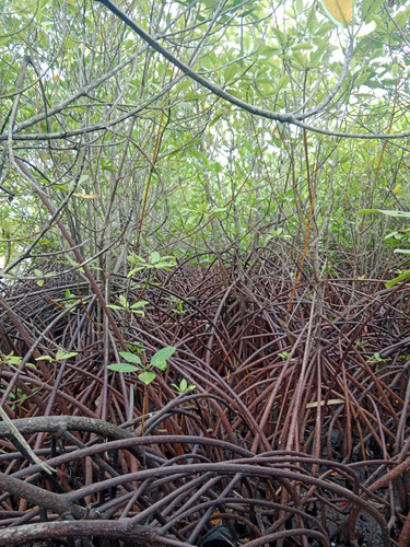 WhatsApp Image 2023 05 25 at 22.17.03.jpg