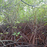 WhatsApp Image 2023 05 25 at 22.17.03