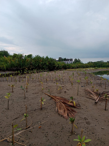 fce22612 f41e 405d 8ca9 b75120f071ec.jpg