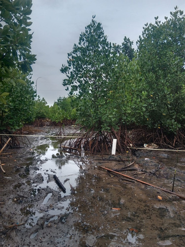 7d55ba9a e5ce 4533 a61d 554ba5dfea3a.jpg