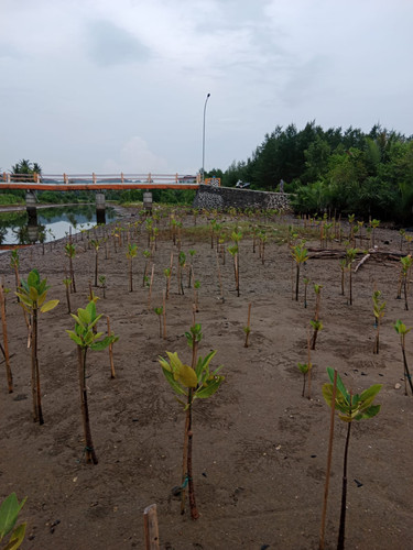 eb880746 bbd2 48e1 bc44 e17e07e6d575.jpg